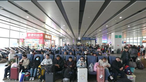 長沙汽車西站春運(yùn)客流高峰來臨 駕駛員培訓(xùn)助力安全出行